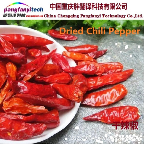 Dried Healthy Spicy Facing-sky Chilli Pepper